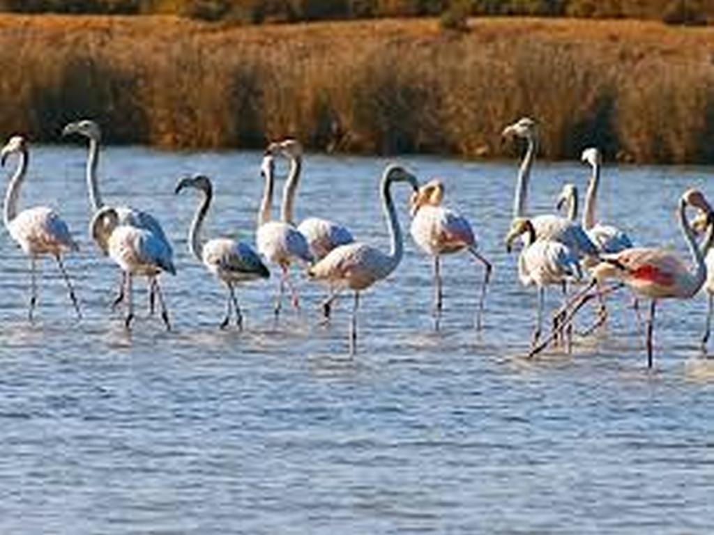 Apartamento Pé na Areia, Armação de Pêra Extérieur photo